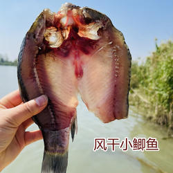 湖北特产农家风干鲫鱼腌制半成品喜头鱼卤鲜食材净膛去腮饭蒸鱼