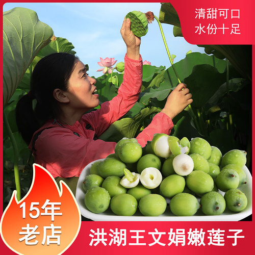 洪湖王文娟嫩莲子米清甜可口