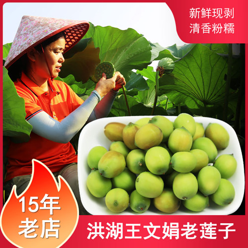 新鲜老莲子2斤洪湖王文娟老莲蓬连米莲子米不带蓬粉糯顺丰包邮