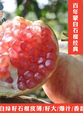 蒙自绿籽石榴好吃皮薄汁多香甜