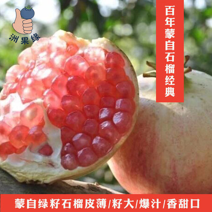 洲果缘蒙绿籽石榴当季上市皮薄肉多籽粒饱满汁多脆甜新鲜采摘大果