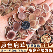 包邮 正宗鹿茸片不染色不泡血鹿茸血片吉林梅花鹿 下单即送鹿鞭