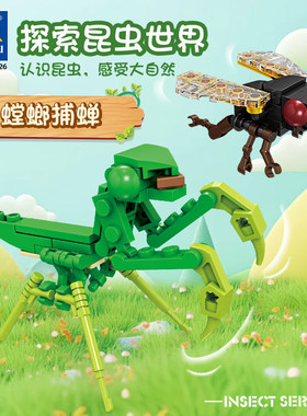 开智积木昆虫拼装玩具模型儿童
