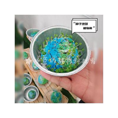 种子地球diy材料世界日幼