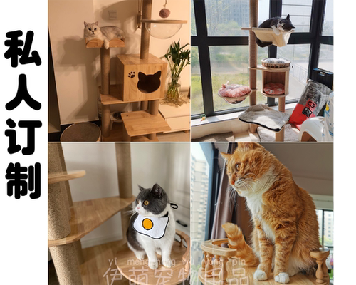 猫爬架diy别墅太空舱抓柱星人