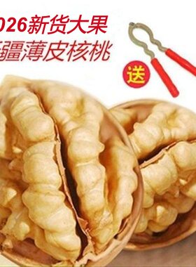 新货新疆薄皮核桃5斤包邮送夹子