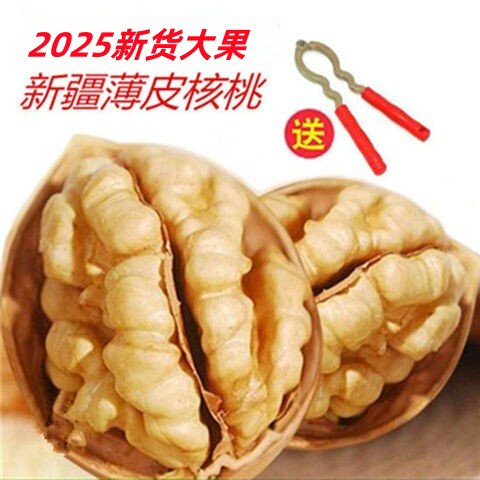 新货新疆薄皮核桃5斤包邮送夹子