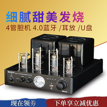 奥斯堡NE10S发烧hifi胆机电子管家用4.0蓝牙款音响功放机胆机套件