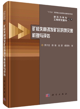 矿柱失稳诱发矿区坍塌灾害机理与评估