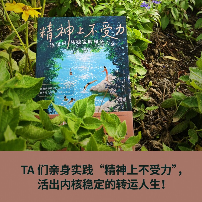 精神上不受力：活出内核稳定的转运人生 文长长著 给当代年轻人的成长疗愈哲思书 精神内耗者救星图片