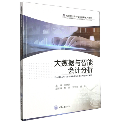大数据与智能会计分析(高等院校会计专业本科系列教材)