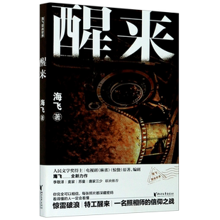 醒来 海飞 正版书籍小说畅销书