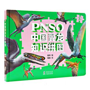 恐龙科普 PNSO中国翼龙知识拼图 中国恐龙