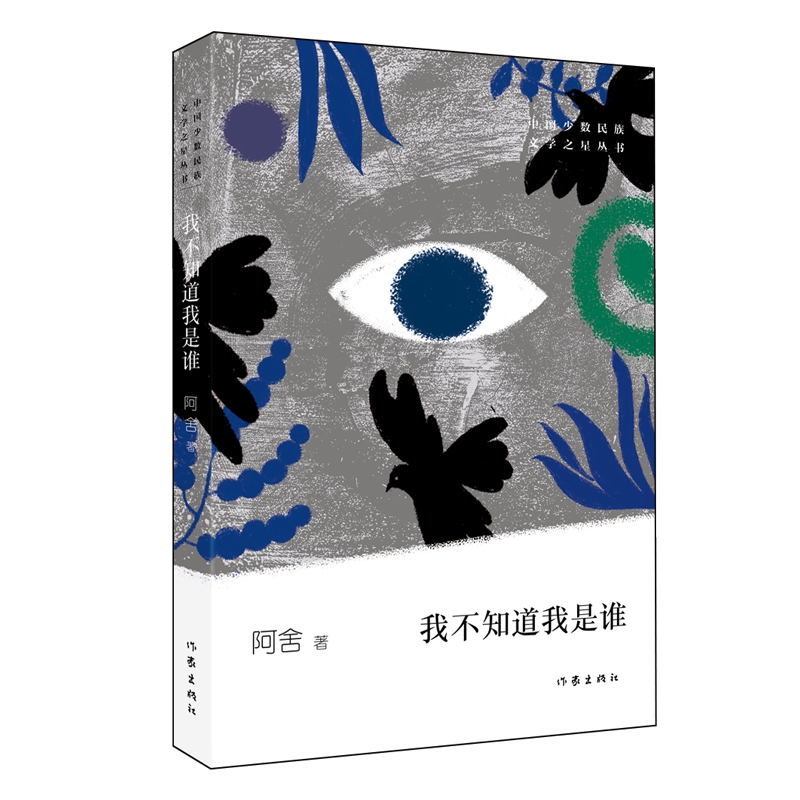 我不知道我是谁 阿舍 著 一本征用少时记忆书写成长风景的散文集