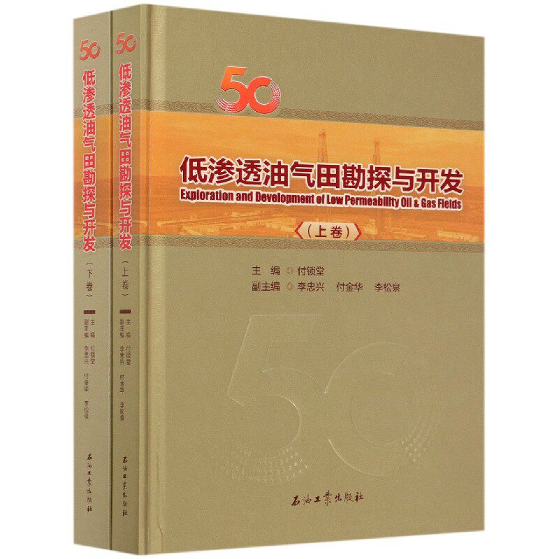低渗透油气田勘探与开发(上下)(精)怎么样,好用不?