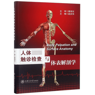 人体触诊检查与体表解剖学 正版书籍