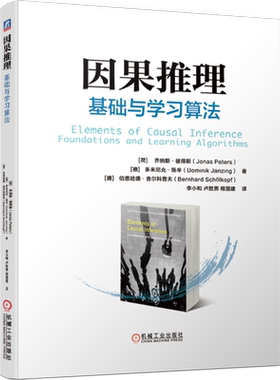 因果推理：基础与学习算法 因果关系 因果模型 因果推断 因果分析 因果论 机器学习 人工智能  统计学