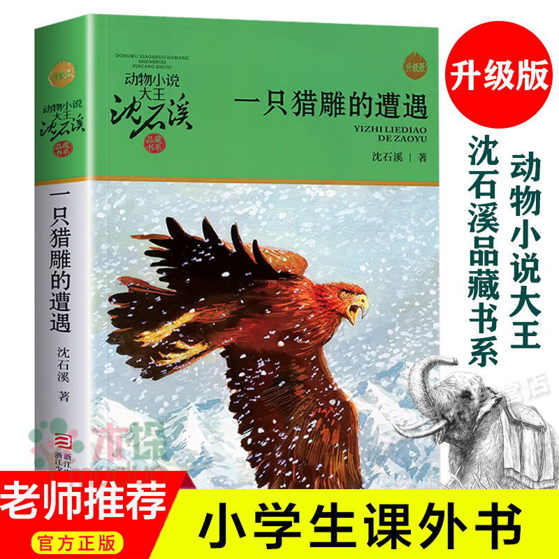 一只猎雕的遭遇动物小说大王沈石溪品藏书系 6-12岁儿童文学小说读物三四五六年级小学生课外阅读动物故事图书新华书店正版书籍