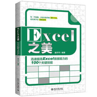 Excel之美 100个技能 100个数据思维 涵盖录入与编辑 整理与规范 清洗和加工 核算和分析及数据可视化 行政文秘