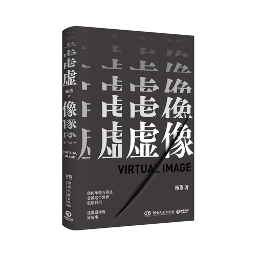 虚像杨董著新华正版