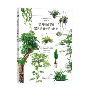 会呼吸 家：室内绿植养护与搭配