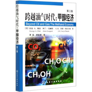 跨越油气时代--甲醇经济(第2版)
