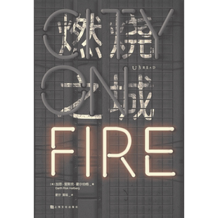 7年磨一劍 燃燒之城 當代美國文壇傳奇 任何東西 這座城市偌大繽紛 你卻找不到自己渴望