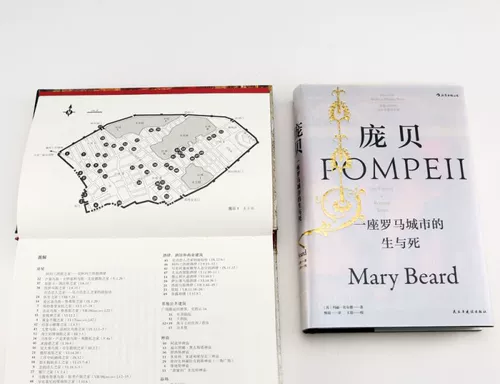 Помпеи (Жизнь и смерть римского города) (Сущность) Зал истории Реконструирует городскую жизнь ранней Римской империи на основе археологических открытий и документальных материалов.