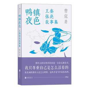 鸭镇夜色 16个短篇故事3个小镇青年1个变动速度快到模糊的时代嬉笑怒骂皆成文章世事无常不负己心