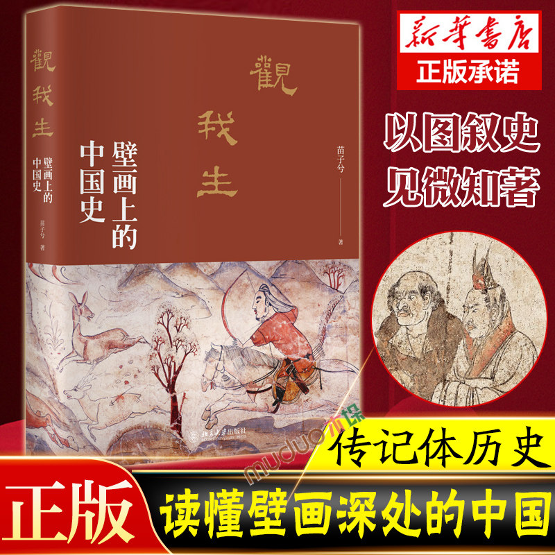 观我生 壁画上的中国史 苗子兮著 探寻壁画背后的隐秘世界 读懂壁画深处的中国历史正版书籍