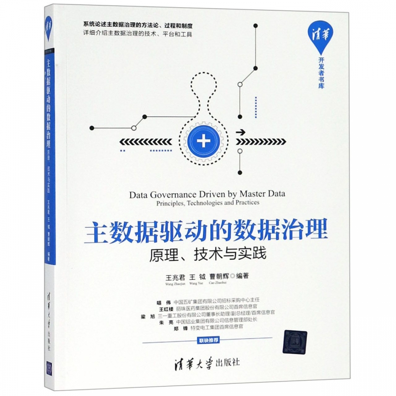 主数据驱动的数据治理:原理.技术与实践 王兆君、王钺、曹朝辉 正版书籍