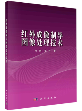 红外成像制导图像处理技术