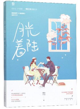 月光着陆