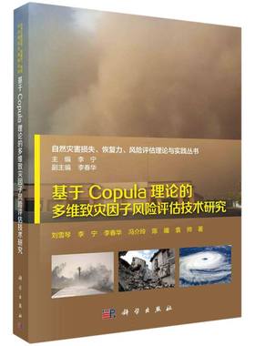 基于Copula理论的多维致灾因子风险评估技术研究