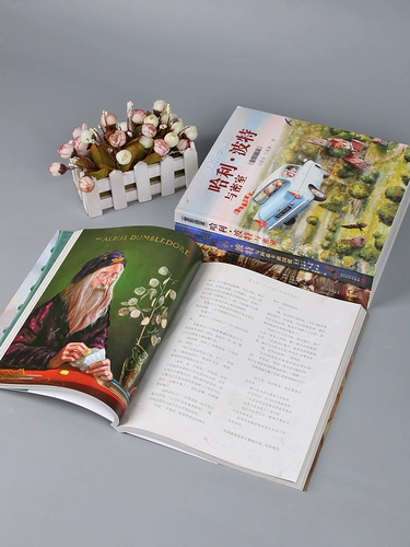 Феникс для школьников, окрашенная волшебная книга с картинками, Гарри Поттер, полный комплект