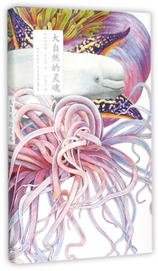 大自然的灵魂(精)