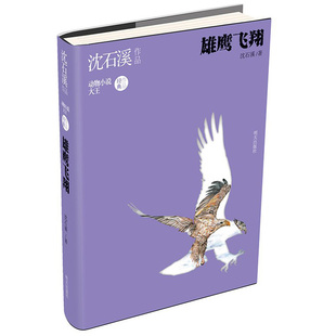 雄鹰飞翔 动物大王沈石溪动物小说 8-10-12岁小学生课外阅读读物小学三四五六年级课外书沈石溪作品 小学生动物小说故事课外书