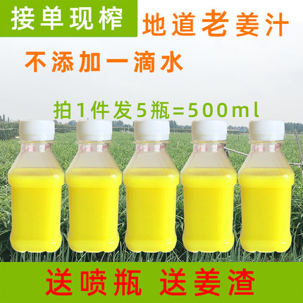 500ml纯姜汁鲜榨原汁无添加生姜老姜头发山东农家自种姜生姜水脱