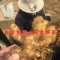 500ml pure ginger juice freshly squeezed, original juice without any additives, old ginger for hair loss, self-grown ginger from a Shandong farmer, ginger water for hair loss thumbnail 4