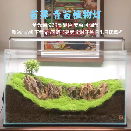 特威浦全光谱led苔藓青苔植物网格纹草生长造景灯微景观高支架灯