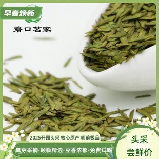 2025新茶甘肃陇南文县碧口高山绿茶明前特级龙井43号头采茶叶250g
