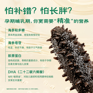 【田亮同款】上品堂鲜炖海参即食大连辽参滋补5SPro礼盒周套餐