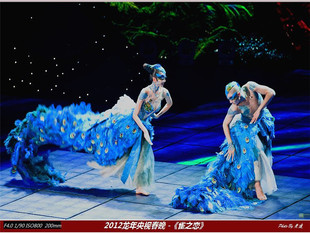 雀之恋演出服装出租售卖 杨丽萍孔雀之舞服装出租 演出服装租赁