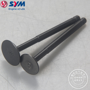 SYM 排气门 进排阀门 XS50QT 进气门 机车 三阳 厦杏 taking50