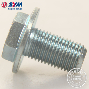 SYM 厦杏 三阳机车 进口 maxsym TL500/508 前轮轴 固定螺丝