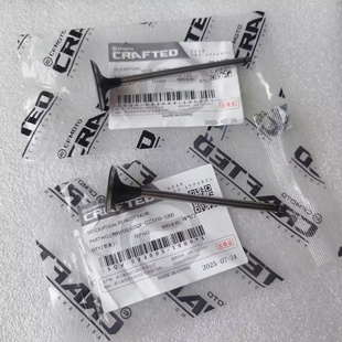 春风450SR450MT450NK气门450SRS450CLC进排气门