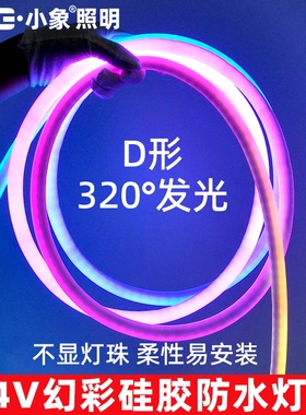 幻彩可编程LED硅胶灯带D型霓虹七彩24v线性柔性灯条追光流水变色