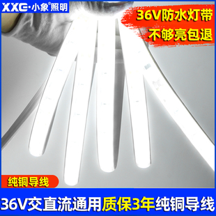 36V灯带客厅吊顶超亮LED低压户外防水庭院台阶水池工程亮化灯条