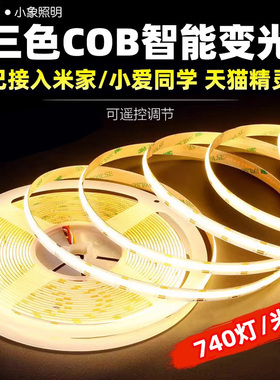 智能24V低压COB灯带LED灯条自粘三色变光双色温客厅双眼皮线形灯