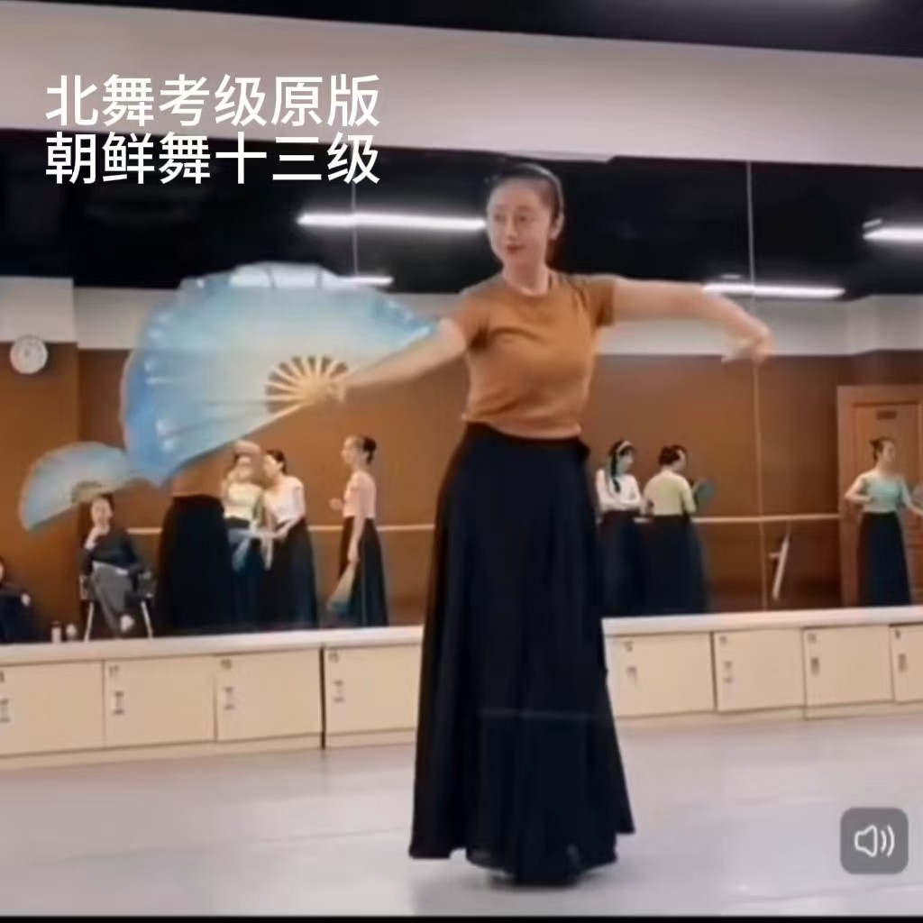 北舞十三级13朝鲜考级裙